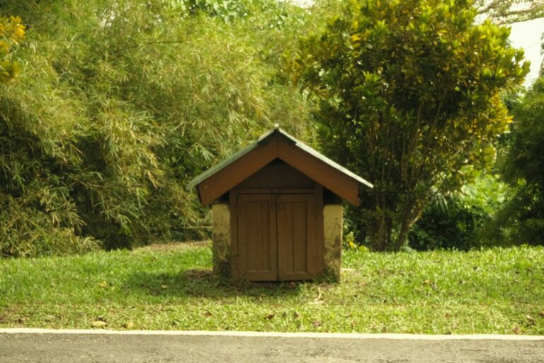 Best garden storage solutions including a wooden shed and wall-mounted tool rack in a tidy backyard